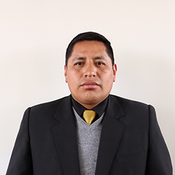 Imagen de Lic. Ronald Yoel Mamani Quispe