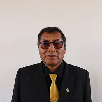 Imagen de Ing. Adolfo Romani Quispe